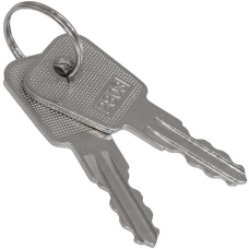 Ключ для выключателя RUICHI SK25-03A